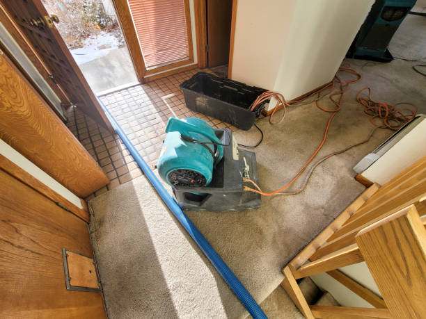 Best Mold removal after water damage  in Twinsburg, OH