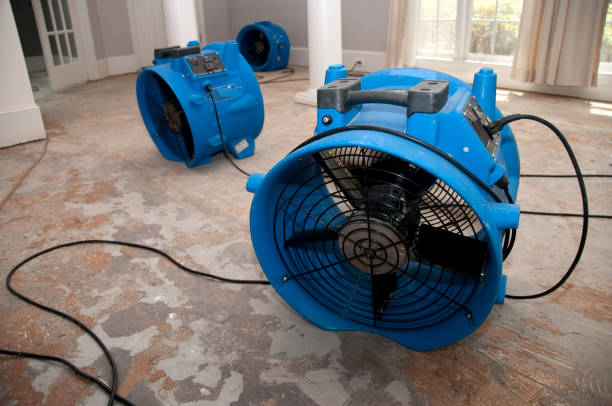 Best Residential water damage restoration  in Twinsburg, OH
