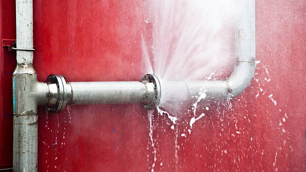 Best Carpet water damage restoration  in Twinsburg, OH
